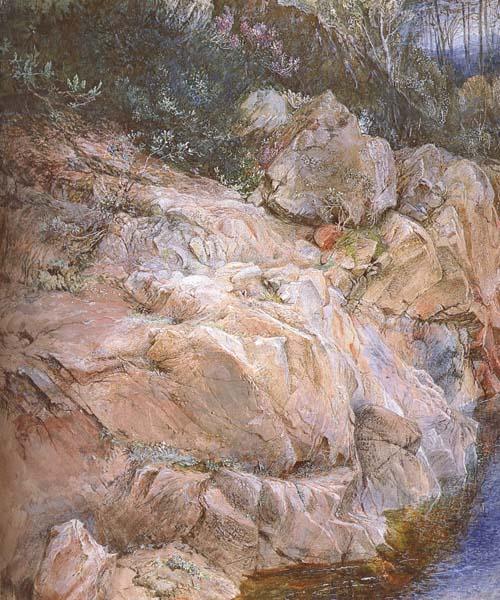John Ruskin,HRWS In the Pass of Killiecrankie (mk46) oil painting image